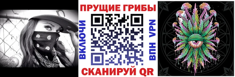 Псилоцибиновые грибы Psilocybine cubensis shop телеграм Гагарин