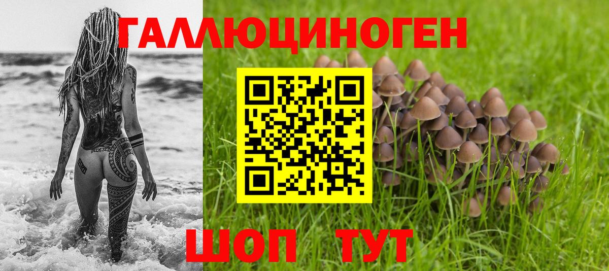 Галлюциногенные грибы MAGIC MUSHROOMS Гагарин